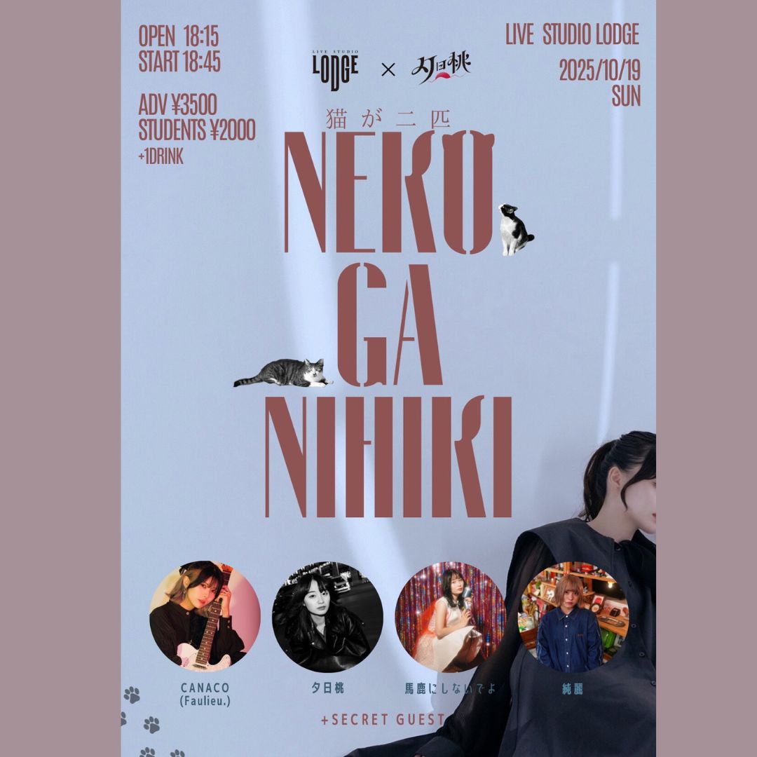 SCHEDULE | イメージ画像